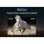 TCL 50C655 50" QLED UltraHD 4K Dolby Vision Google TV