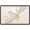 Honor Pad 9 12.1" 8GB/256GB Tablet 2,5K 12.1” 2.5K 120Hz 8300mAh Wifi 5 Plata