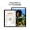 Apple iPad Air 2024 11" WiFi + Cellular 256GB Blanco Estrella