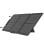 Pannello solare Ecoflow 60W