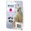 Cartouche d'encre Epson Polar Cartucho 26 Magenta