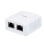 Lapara Roseta de Superficie 2 X RJ-45 Cat 6a FTP