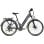 Fafrees F28 Pro Elektrofahrrad, 250 W, 60 km Reichweite, Schwarz