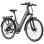 Fafrees F28 Pro Elektrofahrrad, 250 W, 60 km Reichweite, Schwarz