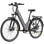 Fafrees F28 Pro Elektrofahrrad, 250 W, 60 km Reichweite, Schwarz