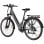 Fafrees F28 Pro Elektrofahrrad, 250 W, 60 km Reichweite, Schwarz