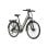 Fafrees F28 Pro Bicicleta Elétrica 250W Autonomia até 60km Verde