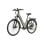 Fafrees F28 Pro Bicicleta Elétrica 250W Autonomia até 60km Verde