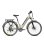 Vélo Électrique Fafrees F28 Pro 250w 60km Autonomie Doré