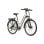 Vélo Électrique Fafrees F28 Pro 250w 60km Autonomie Doré