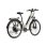 Vélo Électrique Fafrees F28 Pro 250w 60km Autonomie Doré