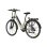 Vélo Électrique Fafrees F28 Pro 250w 60km Autonomie Doré