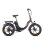 Fafrees F20 Vélo Électrique 250W Moteur 576Wh Batterie Autonomie 70km Noir