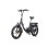 Fafrees F20 Vélo Électrique 250W Moteur 576Wh Batterie Autonomie 70km Noir