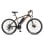 Fafrees Hailong One Bicicleta Elétrica 250W Bateria 468Wh Autonomia até 50km Preto