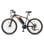 Fafrees Hailong One Bicicleta Elétrica 250W Bateria 468Wh Autonomia até 50km Preto