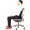 Fellowes Ergonomie Professionelles Netz-Rückenkissen