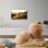 Thomson Easy TV 24HD2S13 24" LED HD