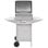 Barbecue à gaz portable Vidaxl 2 zones, argent, acier inoxydable