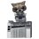 Funko Pop Deluxe Marvel Guardianes de la Galaxia Rocket