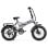 PVY Z20 Plus 1000 Elektrofahrrad mit 20-Zoll-Rädern, 250 W, 48 V, 16,5 Ah, Grau