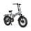 PVY Z20 Plus 1000 Elektrofahrrad mit 20-Zoll-Rädern, 250 W, 48 V, 16,5 Ah, Grau