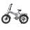 PVY Z20 Plus 1000 Elektrofahrrad mit 20-Zoll-Rädern, 250 W, 48 V, 16,5 Ah, Grau