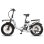 Fafrees F20 X-Max Bicicleta Elétrica Dobrável Motor 750W Bateria 48V/30Ah Autonomia 180km Branca
