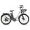 Fafrees F26 Langlebiges Elektrofahrrad 250W Motor 36V/20,3Ah Akku Reichweite 160km Grau