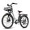 Fafrees F26 Langlebiges Elektrofahrrad 250W Motor 36V/20,3Ah Akku Reichweite 160km Grau