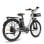Fafrees F26 Langlebiges Elektrofahrrad 250W Motor 36V/20,3Ah Akku Reichweite 160km Grau