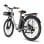 Fafrees F26 Langlebiges Elektrofahrrad 250W Motor 36V/20,3Ah Akku Reichweite 160km Grau