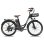 Fafrees F26 Lasting Bicicleta Elétrica Motor 250W Bateria 36V/20.3Ah Autonomia 160km Preta