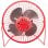 MyWave MWVEN-USBRJ Mini Ventilador Usb Rojo