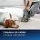 Bissell Pet Stain Eraser Aspirador Tira-Nódoas de Mão 50W