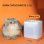 Bebedero Automático para Mascotas PetKit Eversweet Solo SE 1,8 L USB Ultrasilencioso