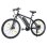 Touroll U1 29 Bicicleta Elétrica MTB 250W 13Ah 29"x2.25" Preta