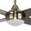 Iluminashop Ventilador de Techo con Luz LED y Mando 18W Cuero/Nogal