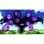 Sonic X Shadow Generations Xbox Series X/One