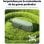 Altoparlanti Soundcore Motion 100 Portatile Bluetooth 20W Impermeabile