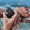 Smartwatch Samsung Galaxy Watch Ultra LTE bianco