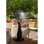 Create Air Mist Ventilador de Pie de Exterior con Nebulizador Oscilante Ultrasilencioso 90W Negro