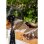 Create Air Mist Ventilador de Pie de Exterior con Nebulizador Oscilante Ultrasilencioso 90W Negro