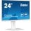 Iiyama Prolite XUB2497HSN-W1 24" LED IPS WQHD 100Hz USB-C