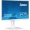 Iiyama Prolite XUB2497HSN-W1 24" LED IPS WQHD 100Hz USB-C