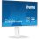 Iiyama Prolite XUB2797QSN-W1 27" LED IPS WQHD 100Hz USB-C