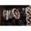 Ventilateur supplémentaire Noctua NF-A14x25r G2 PWM 140 mm, marron
