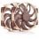 Noctua NF-A14x25r G2 PWM Sx2-PP 2-Pack 140mm Ventole Aggiuntive Marrone