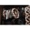 Noctua NF-A14x25r G2 PWM Sx2-PP 2-Pack 140mm Ventole Aggiuntive Marrone