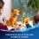 Lego Disney Le Roi Lion : Petit Simba